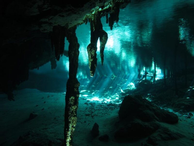Playa del Carmen: Mind-Blowing Diving at Cenote Dos Ojos - Value for Money