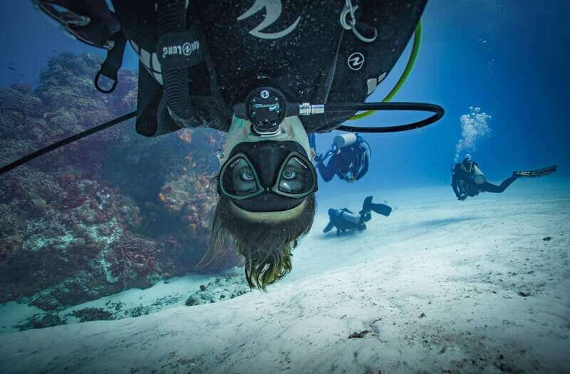Playa del Carmen: Open Water Course - Days 2 and 3: Underwater Exploration