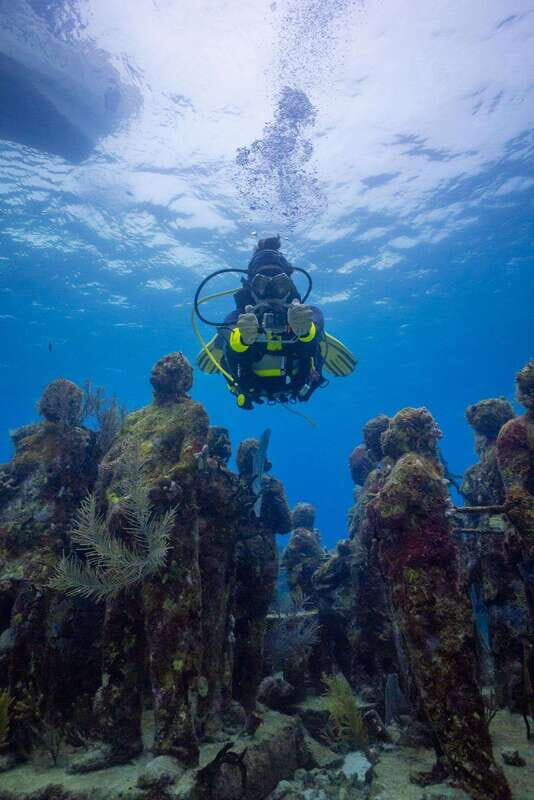 Playa del Carmen: Open Water Course - The Experience Provider: The Dive Machine