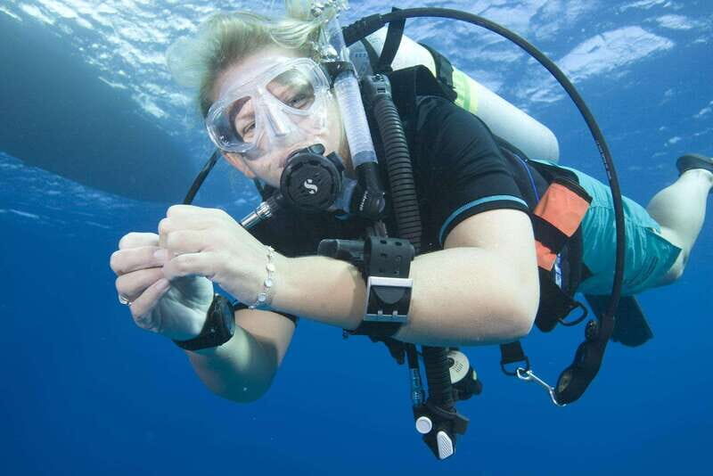 Playa del Carmen: PADI Advance Open Water in Riviera Maya - Logistics, Gear, and Price