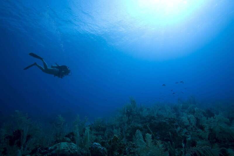 Playa del Carmen: PADI Advance Open Water in Riviera Maya - Authentic Review Highlights and Insights