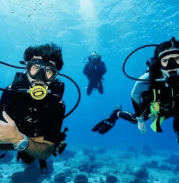Playa del Carmen: PADI Open Water Certification - Practical Details and Logistics