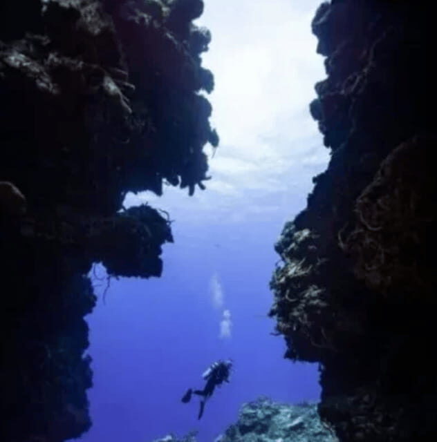 Playa del Carmen: PADI Open Water Certification - FAQ