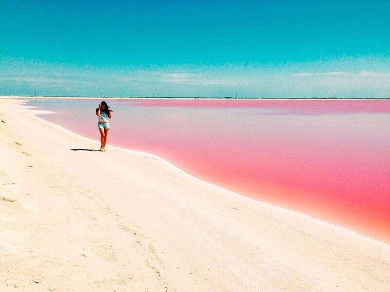 Playa del Carmen: Rio Lagartos and Las Coloradas Tour - Final Thoughts