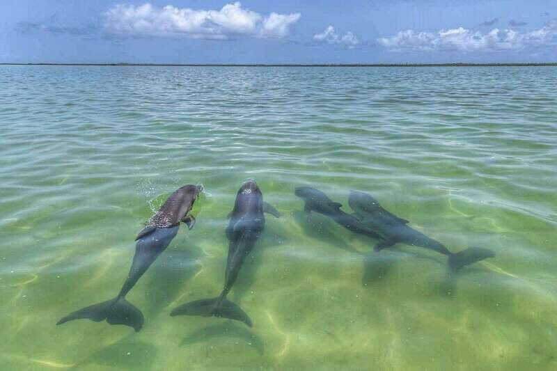 Playa del Carmen: Sian Ka'an Deluxe Boat Tour - FAQ
