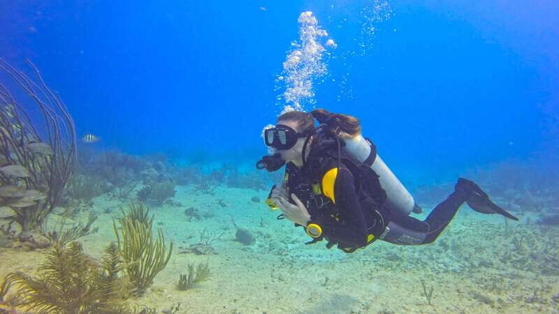 Playa del Carmen: SSI Open Water Course - Key Points