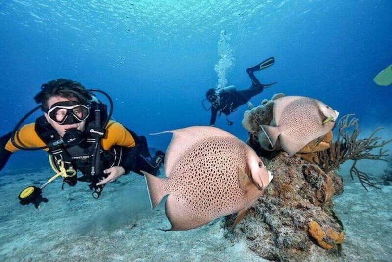 Playa del Carmen: Try Scuba Diving - No Experience Required - Key Points