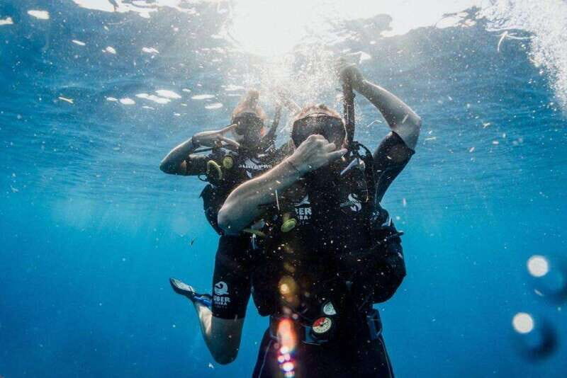 Playa del Carmen: Try Scuba Diving - No Experience Required - Why This Tour Is a Great Choice