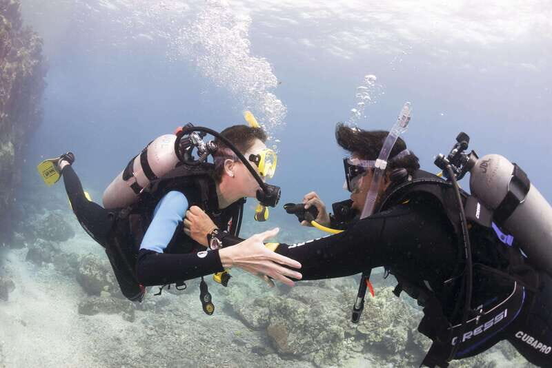 Playa del Carmen: Ultimate PADI Open Water Diver Experience - Key Points