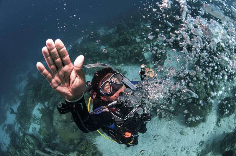 Playa del Carmen: Ultimate PADI Open Water Diver Experience - What Makes This PADI Open Water Course Special?