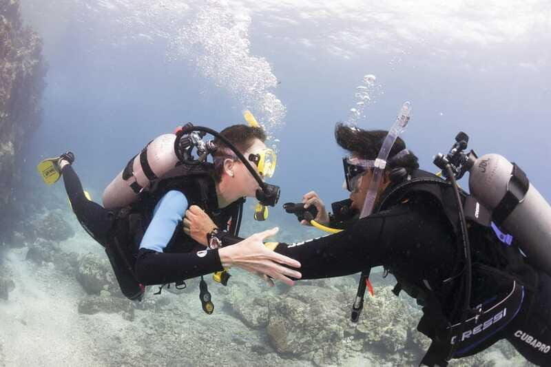 Playa del Carmen: Ultimate PADI Open Water Diver Experience - The Value of the Experience