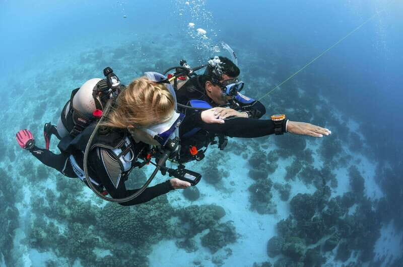 Playa del Carmen: Ultimate PADI Open Water Diver Experience - Final Thoughts: Is This the Right Choice?