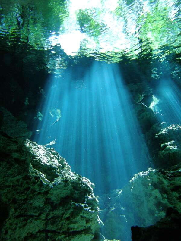Playa del Carmen: Unforgettable Dive @ Cenote Chikin Ha - Who Is This Tour For?