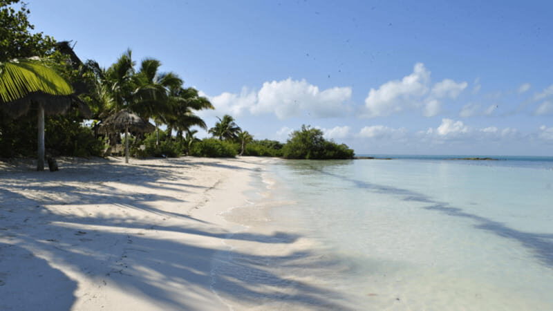 Playa del Carmen: Visiting Isla Contoy and Isla Mujeres - FAQ