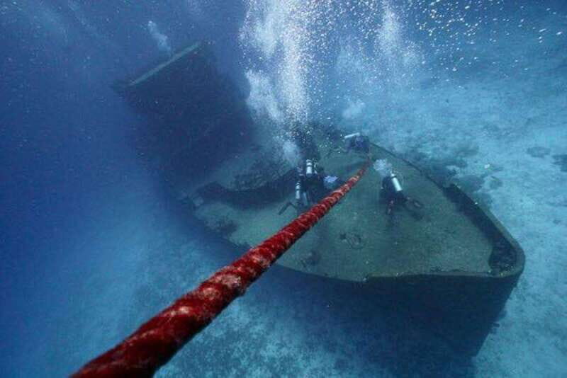 Playa del Carmen: Wreck Dive Mama Viña - An Overview of the Experience