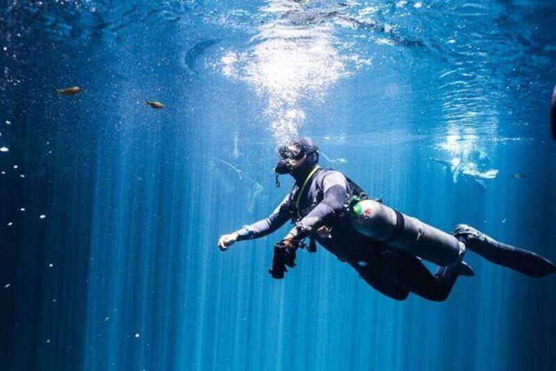 Playa del Carmen: Wreck Dive Mama Viña - What’s Included and What to Budget For
