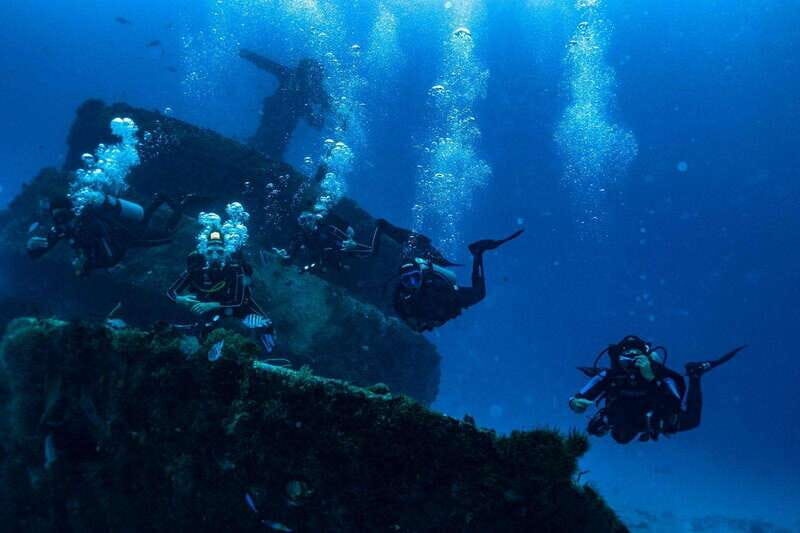 Playa del Carmen: Wreck Dive Mama Viña - Who Would Love This Experience?