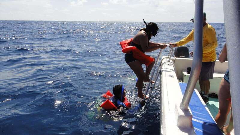 Playa del Carmen:Whale shark Experience in the Caribbean Sea - The Sum Up
