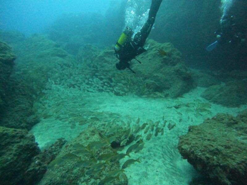 playa-del-ingles-discover-scuba-diving-free-transfers