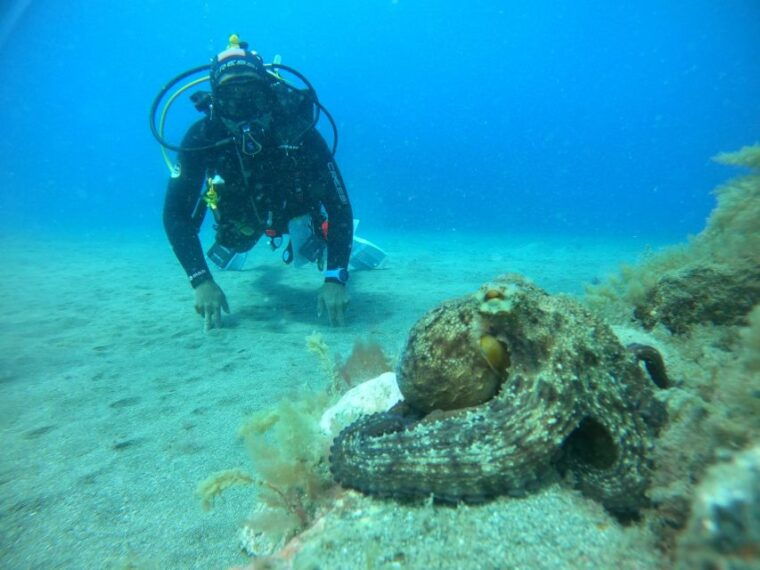 playa-del-ingles-discover-scuba-diving-free-transfers