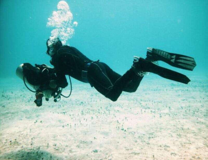 Playa: PADI Dive Master - Overview of the PADI Dive Master Course