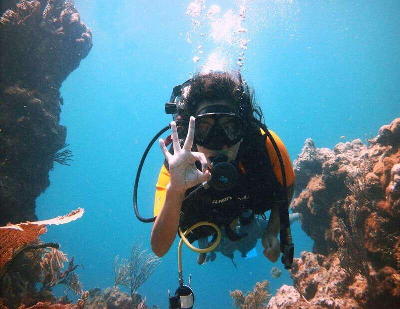 Playa: PADI Dive Master - The Sea Dives: What to Expect
