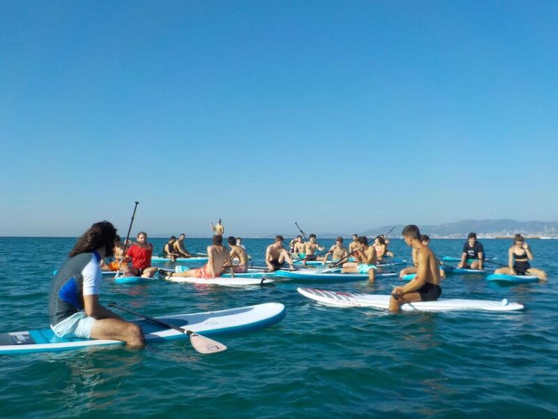 playa-palma-stand-up-paddleboard-rental
