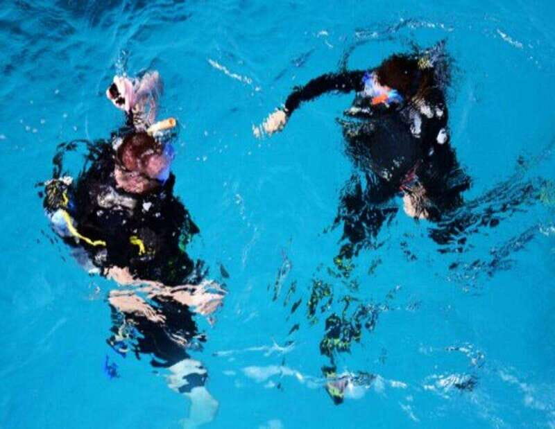 Playa: Scuba Discovery - What the Reviews Say