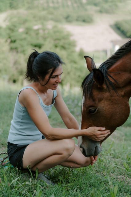 playful-activities-with-animals