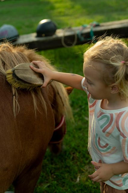 playful-activities-with-animals