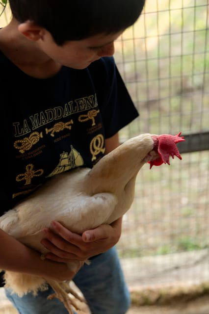 playful-activities-with-animals