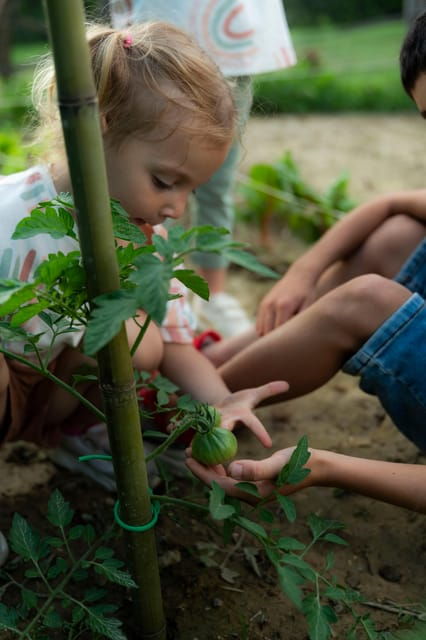 playful-activities-with-animals