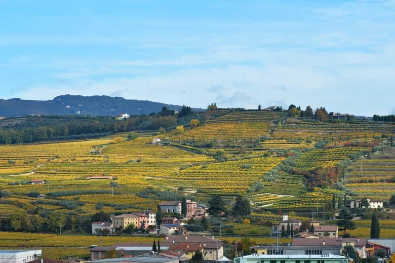 Playing with wine - FAQs