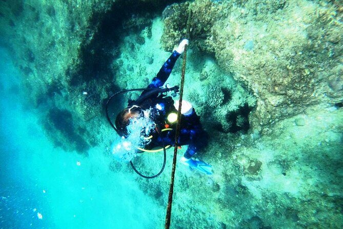 Pleasure Scuba Diving in Fujairah for Certified Diver - Potential Drawbacks and Considerations