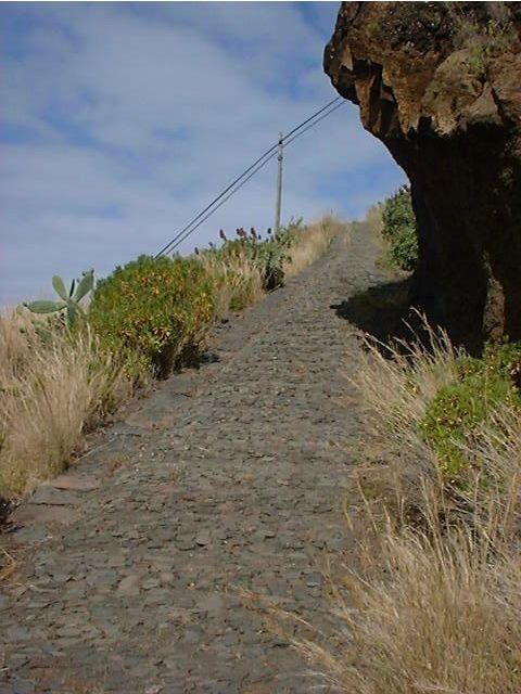pleasures-full-day-nature-walk