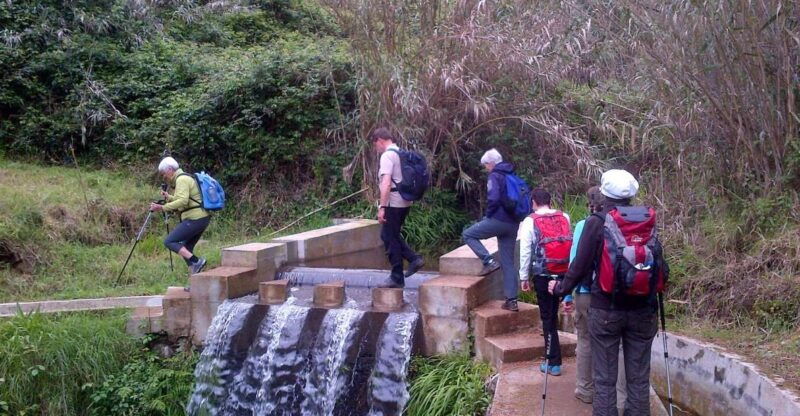 pleasures-full-day-nature-walk
