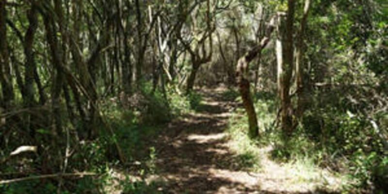 Plettenberg: 2-Hour Zipline Tour - FAQ
