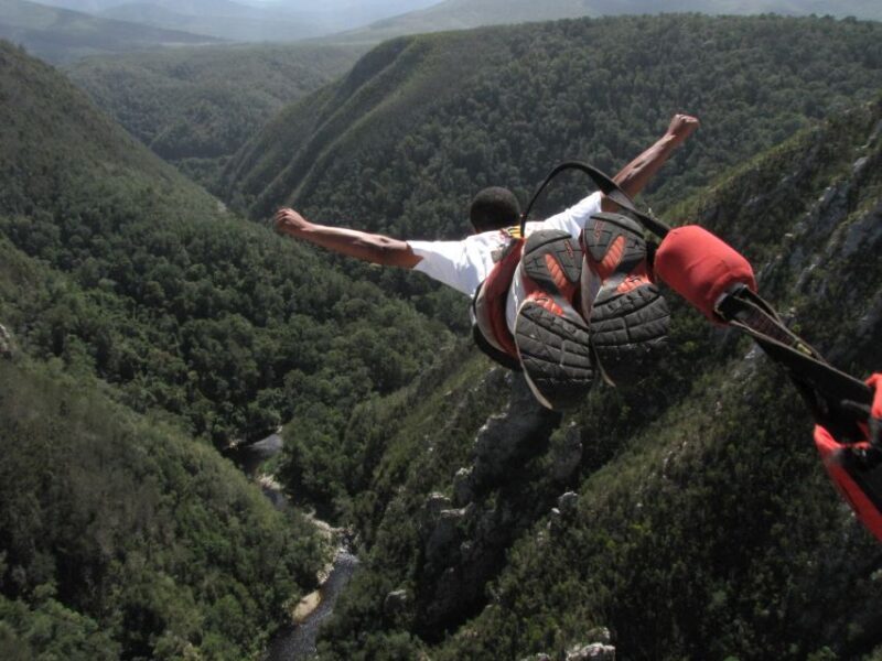 Plettenberg Bay: Bungee Jumping with Zipline and Sky Walk - Key Points