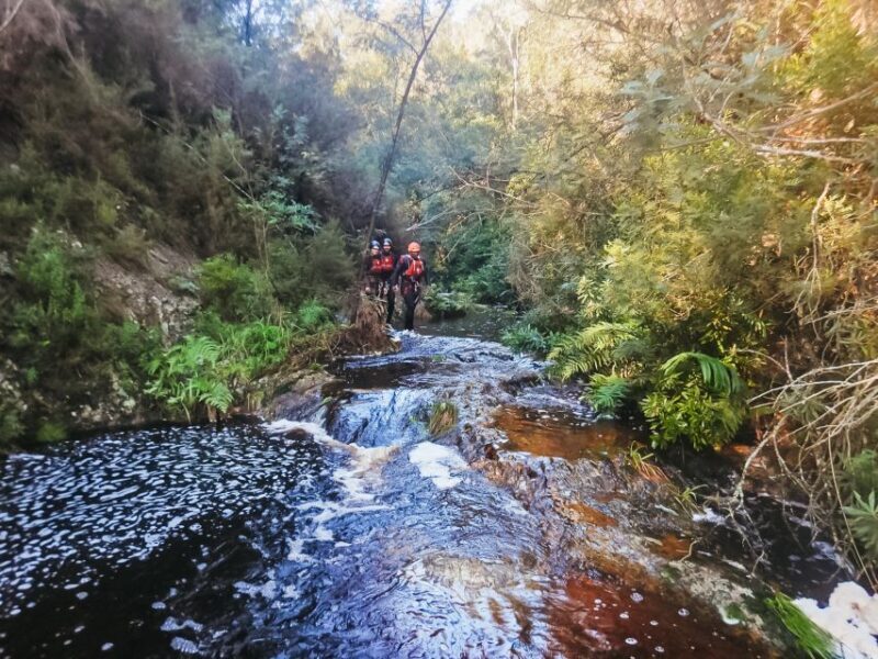 Plettenberg Bay: Canyoning Trip - What to Expect from the Plettenberg Bay Canyoning Tour