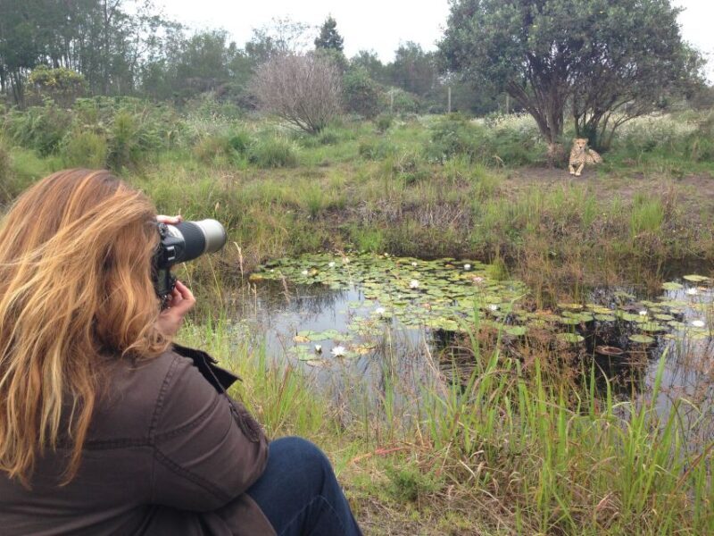 Plettenberg Bay: Cats in Conservation Full Day Tour - An In-Depth Look at the Tenikwa Cats in Conservation Tour
