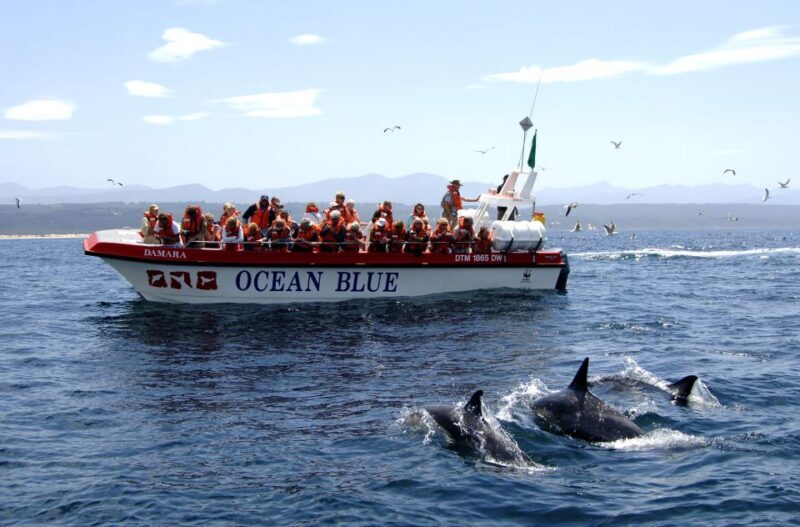 Plettenberg Bay: Dolphin and Marine Boat Tour - FAQs