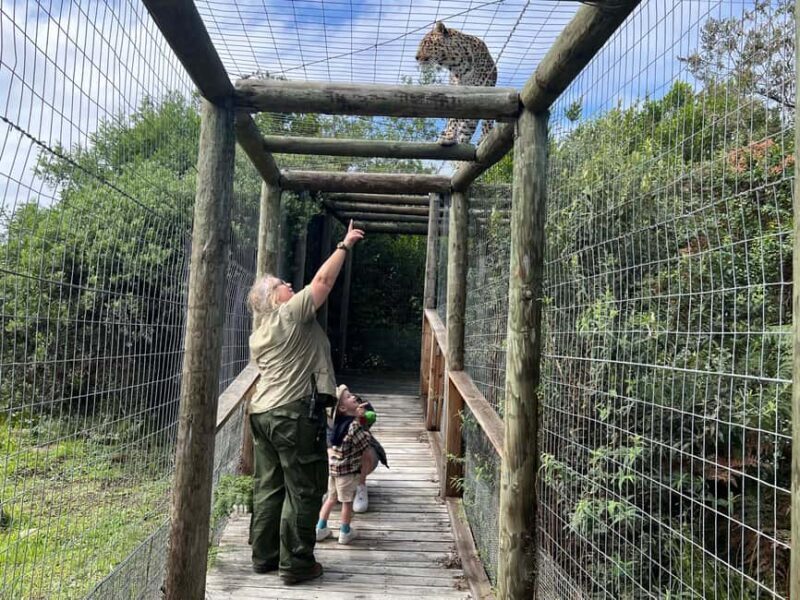 Plettenberg Bay: EcoKidz Family Wildlife Tour - Key Points