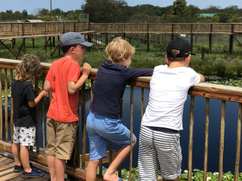 Plettenberg Bay: EcoKidz Family Wildlife Tour - The Itinerary: What to Expect from the EcoKidz Tour