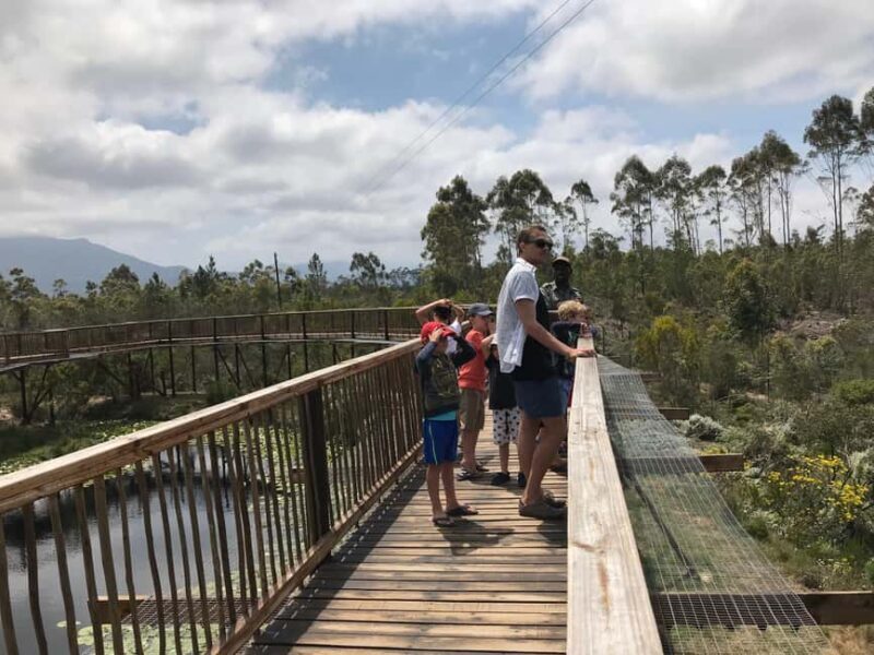 Plettenberg Bay: EcoKidz Family Wildlife Tour - Why This Tour Is Worth It