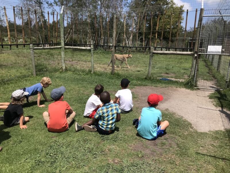 Plettenberg Bay: EcoKidz Family Wildlife Tour - Frequently Asked Questions