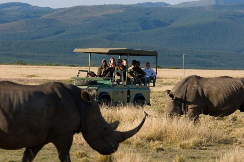 Plettenberg Bay Game Reserve: 2-Hour Game Drive - Key Points  