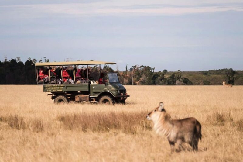 Plettenberg Bay Game Reserve: 2-Hour Game Drive - The Practicalities