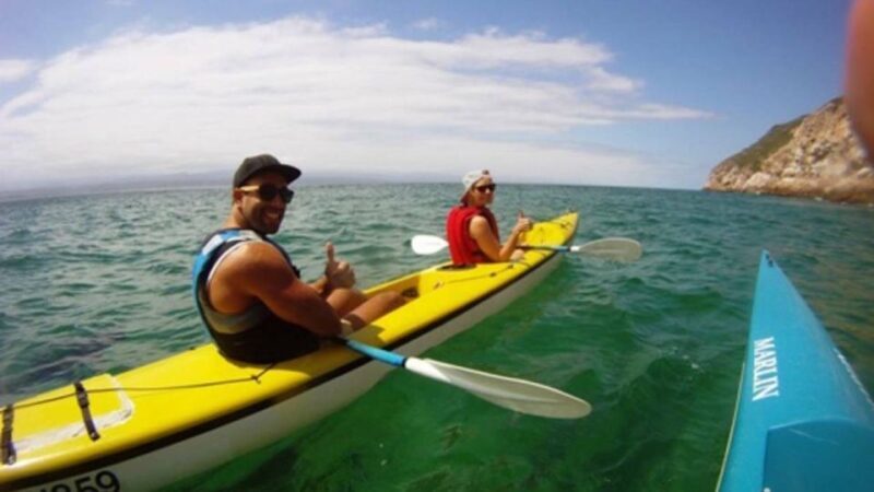Plettenberg Bay: Guided Sea Kayak Tour - Key Points