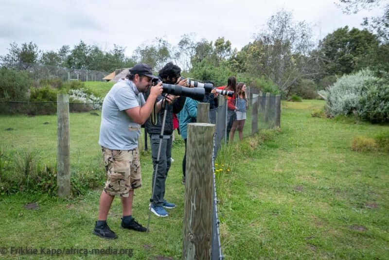 Plettenberg Bay: Private Guided Wildlife Photography Tour - Key Points