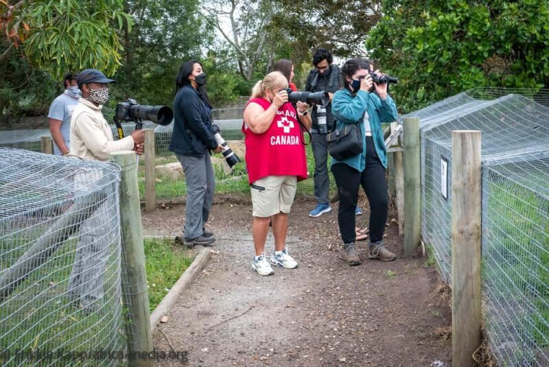Plettenberg Bay: Private Guided Wildlife Photography Tour - What to Expect from the Wildlife Photography Tour